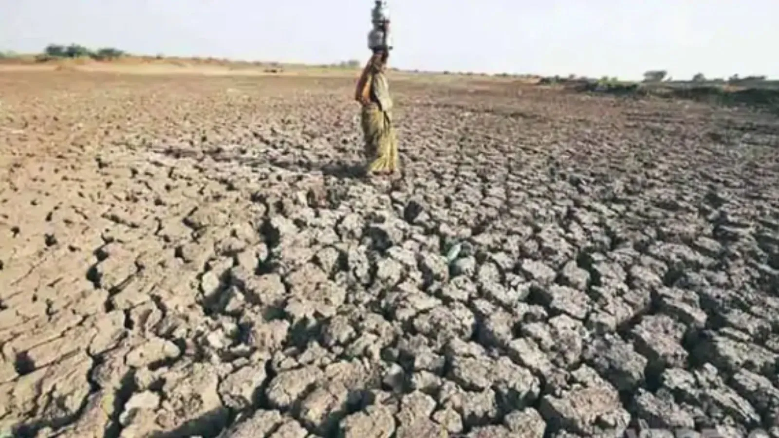 ‘Very’ strong El Nino emerging, to last till Feb 2027: WMO