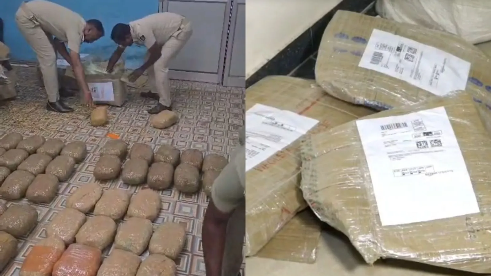 Odisha Police Uncover Ganja Smuggling Operation Hidden in Sambalpuri Saree Shipments